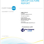 Group Culture Report BHR Training Everything DiSC