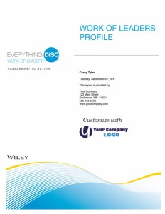 Everything DiSC Work of Leaders Profile