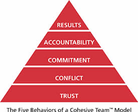Five Behaviours of a Cohesive Team - BHR Training